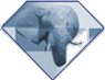 PostgreSQL